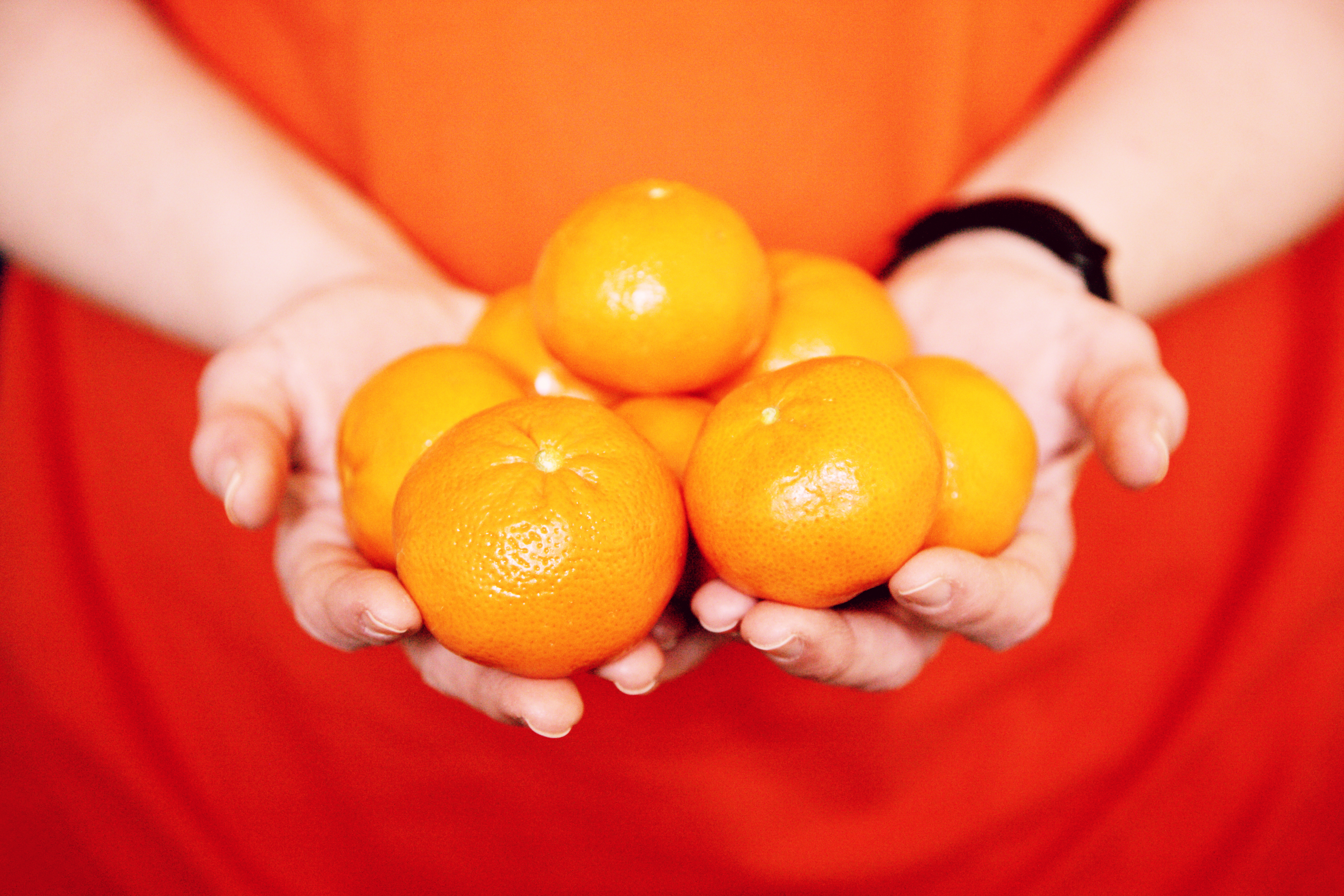 Canva - Person Holding Orange Fruits In Close Up Photography