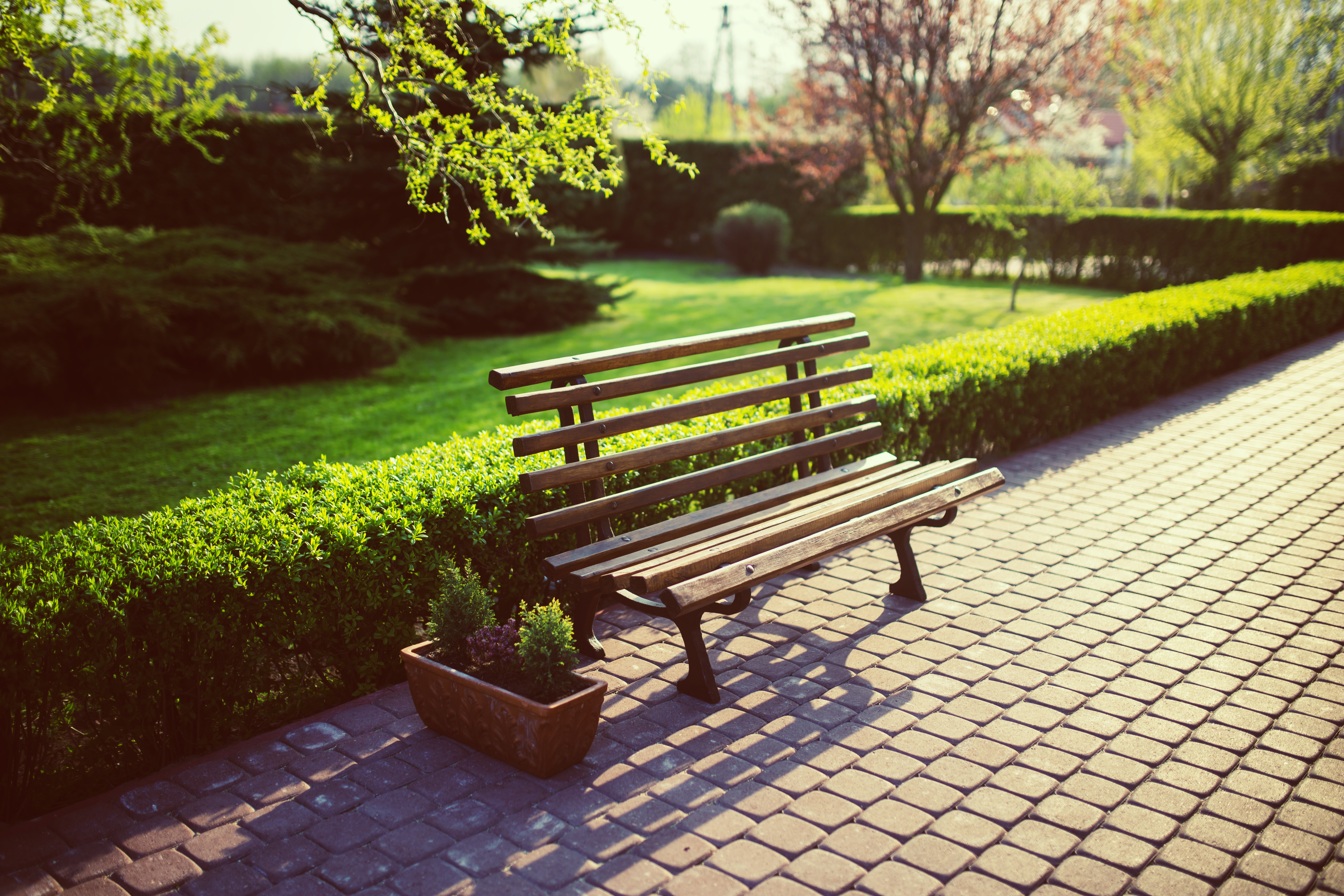 Canva - Bench in the garden